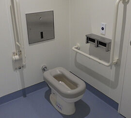 toilet3